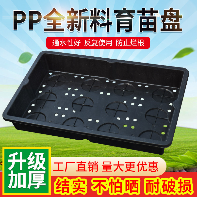 Green planting pots container Fojia grass planting plate top…