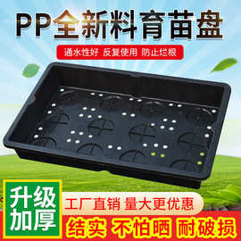 楼顶绿化种植盆容器佛甲草育苗穴盆穴盘佛甲草种植盘阳台多肉屋顶