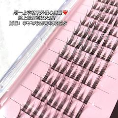 LODO12 Row Rabbit Spirit False Eyelashes Natural Simulation Single Cluster Sectional Lazy Comic Style Devil Beginner