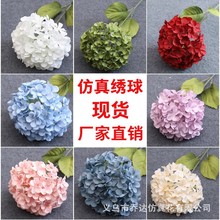 ���潑���c�����֧���򻨾Ƶ��c��ˇ���T�������żٻ�