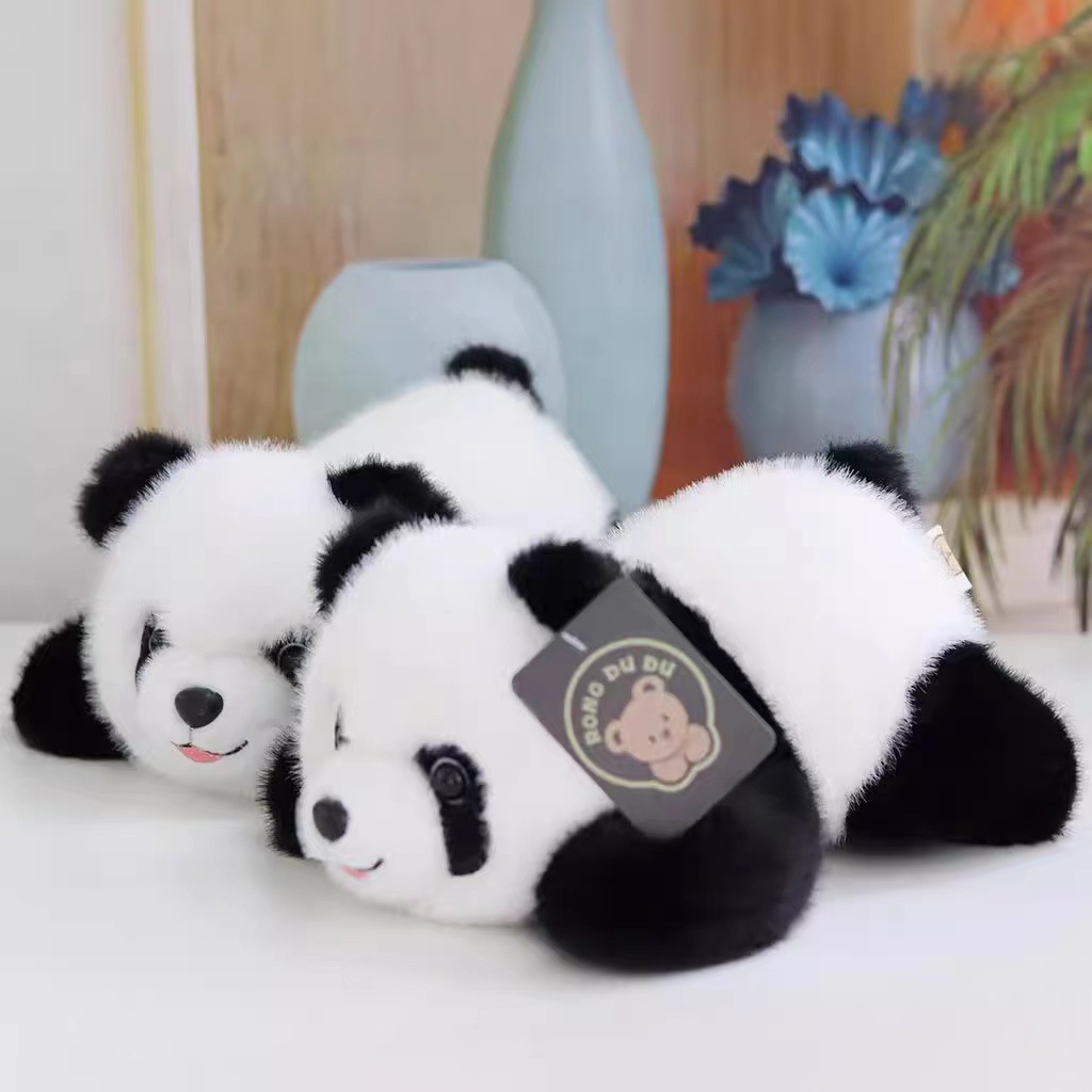 微信图片_20240516060645