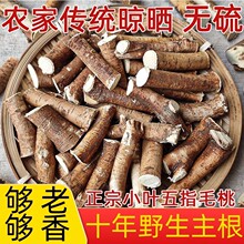 正宗广西野生五指毛桃500g无硫中段根土茯苓中药材煲汤茶新鲜切片