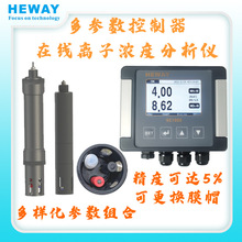 能耐80度高温电极法在线氟离子浓度计氟化物检测分析仪原装进口
