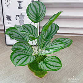 新款仿真植物 西瓜叶 仿真绿植 12头西瓜叶 过胶仿真叶植物墙配材