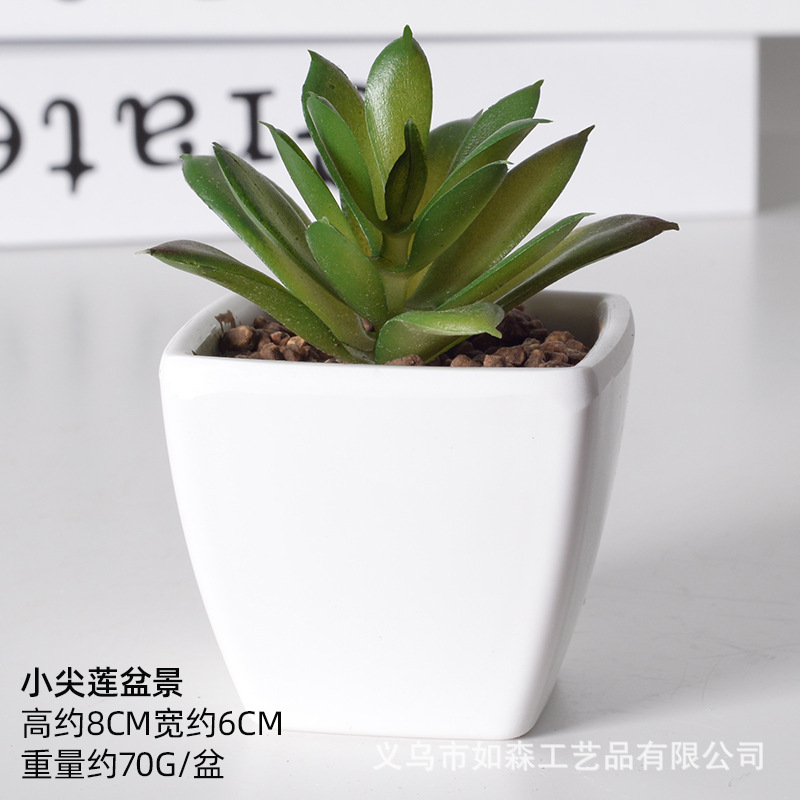 Simulación de plástico carnoso bonsai flor falsa combinación oficina interior escritorio plantas verdes pequeños adornos plantas artificiales al por mayor image 45