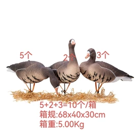 动物工艺品;射击射箭用品;动植物仿真