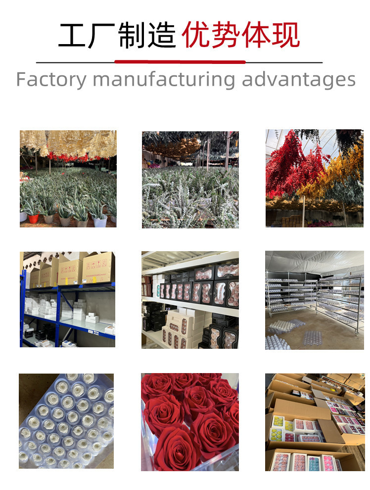 未命名_副本12_副本