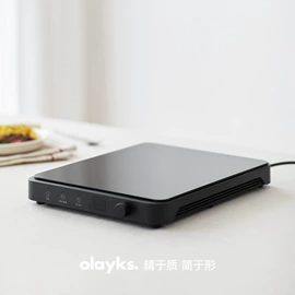 油壶;野餐炉具;电压力锅