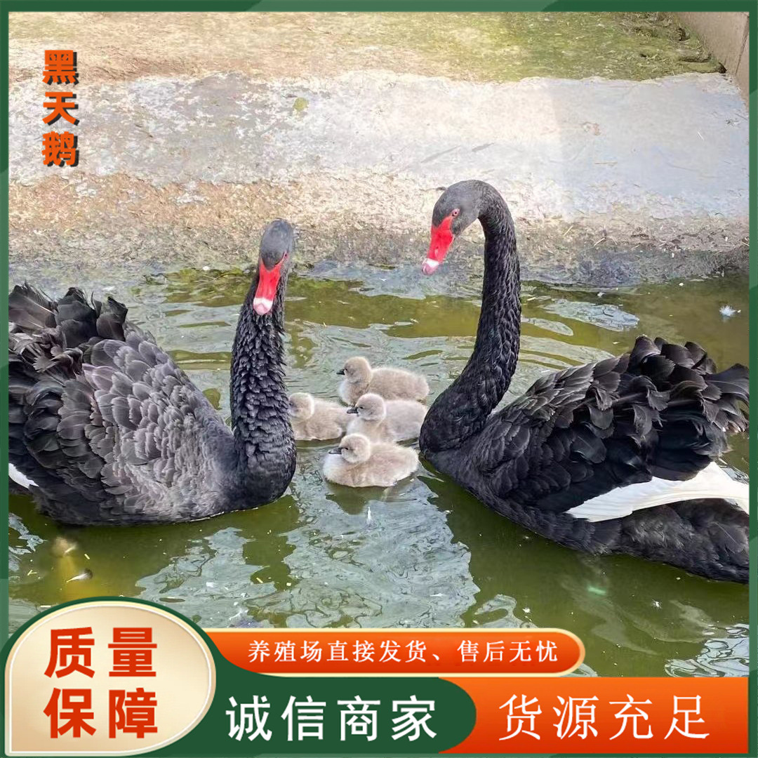 f06bc577e3da8acfe3b74dc7803238