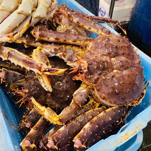 �������_˹����з��зB��؛�y؛�̓r̎��3-8��/ֻ