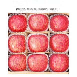 ����O���t��ʿ���𲻴�Ϟˮ�����r�����Fժ�������������l�r���S