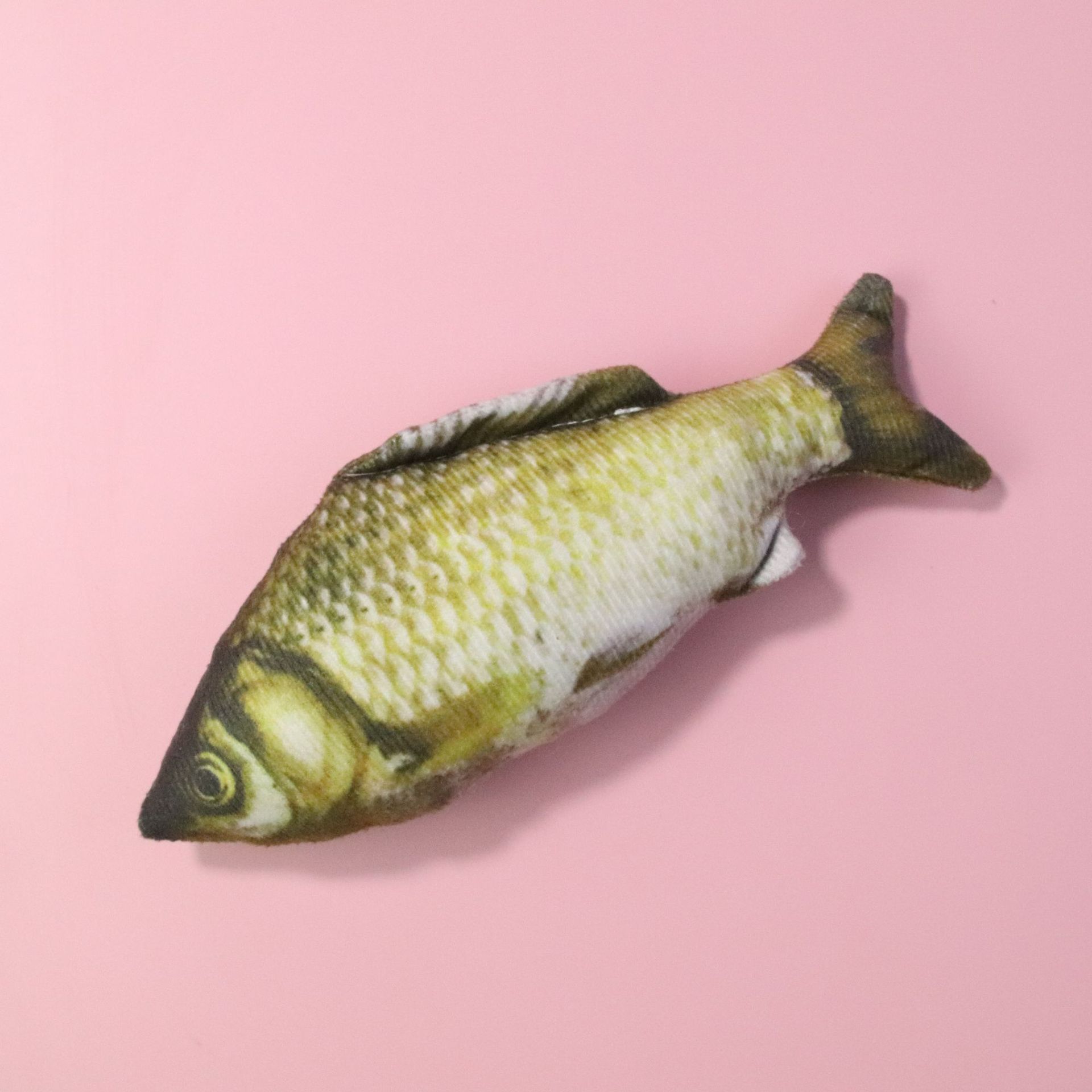 Carpiceus minimus