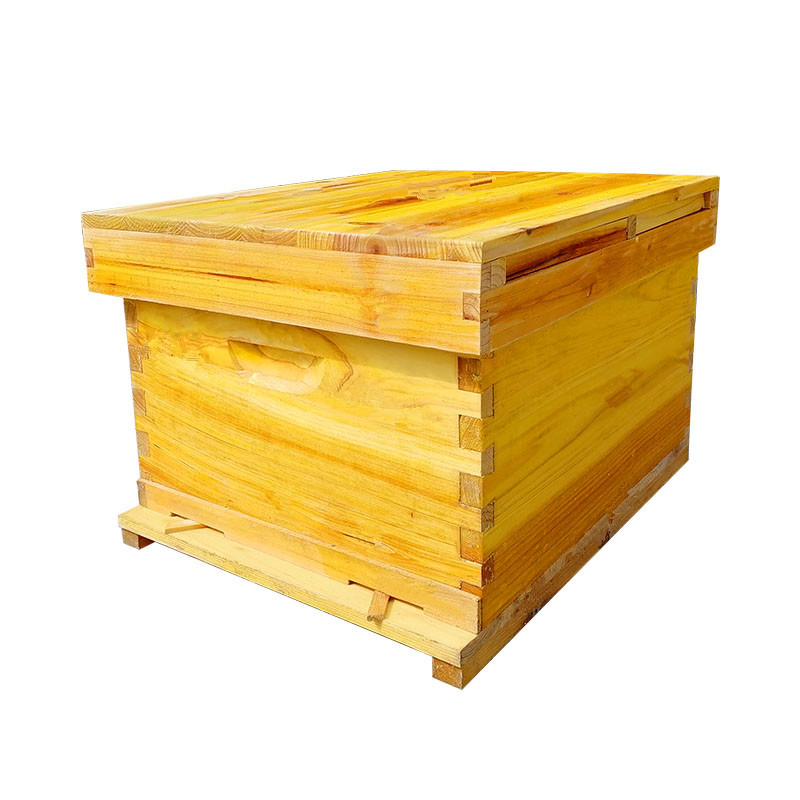 蜂首固底中蜂蜂箱活底全套杉木煮蜡蜂箱中意蜂蜜蜂箱批发代发工厂