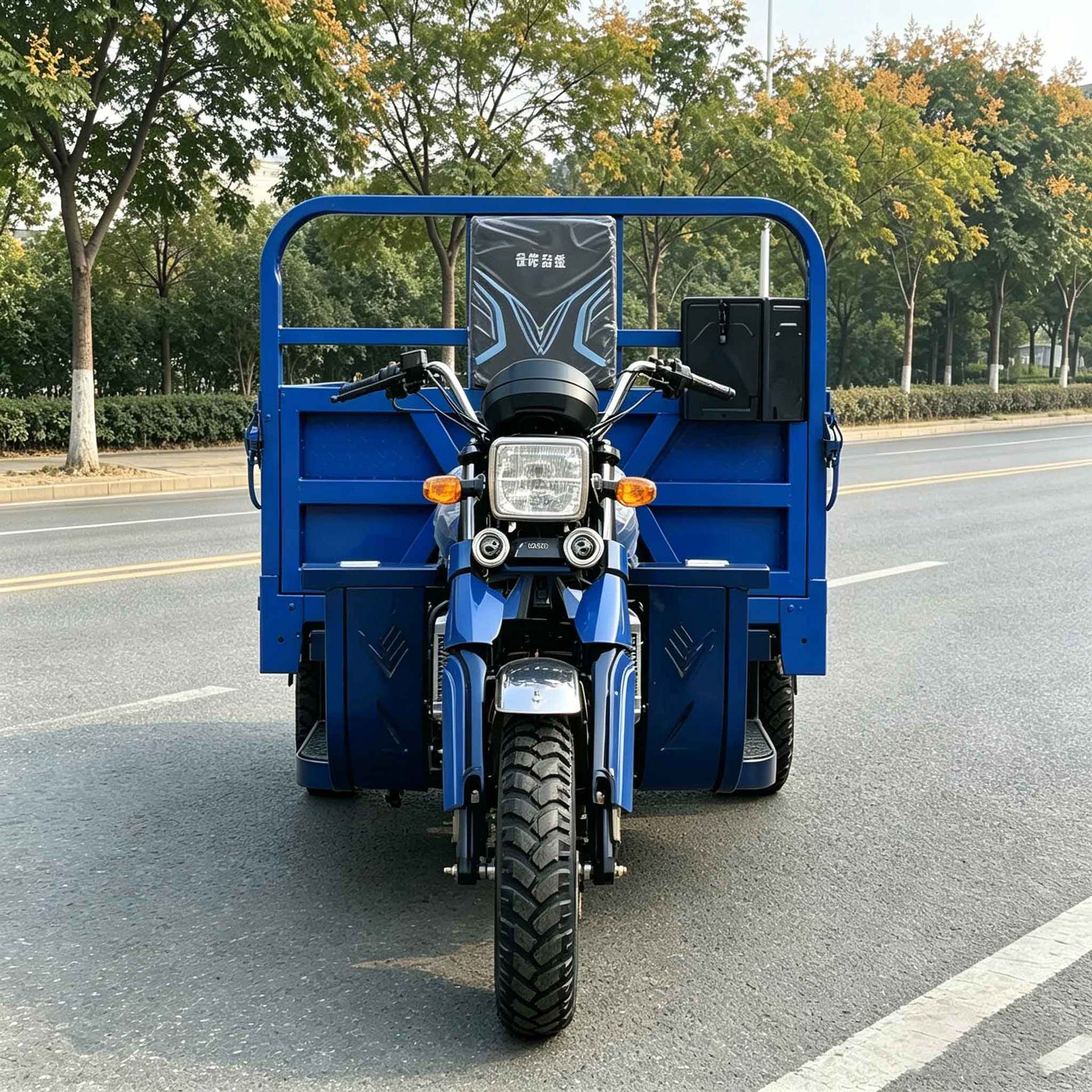 Popular Overseas Fuel-Powered Three-Wheeled Passenger Cart with Canopy, Strong Power and Practicality for Cross-Border Passenger Transport in Southeast Asia