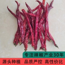 批发干辣椒 红辣椒干香辣二荆条干辣椒微辣线椒干红辣椒特香手工