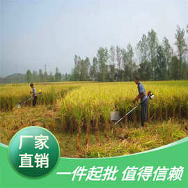 收稻稻谷水稻割草麦类割禾收割小型家用收割机机割农用割稻机