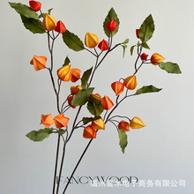 �����Ʒ�|���m��{�� ���\�� 8�^ ���յ��� �ɐ�С���\ �Ҿӿ͏d