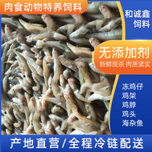 �L�ڹ������С�~���B��� ���� �� �{�~����؈�Zԭ�������l