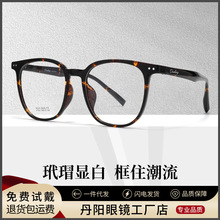 H1023B超轻TR近视眼镜男女同款丹阳配镜大框复古玳瑁眼镜框批发