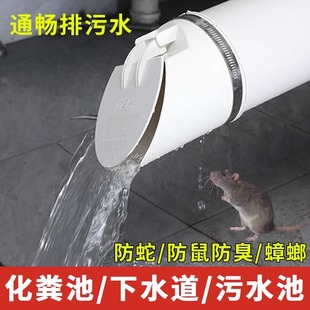 Pvc Drainage Pipe Anti-Odor Sewage One-Way Check Valve 50/75/110 Anti-Odor Mosquito Rat Snake Check Valve Outer Cover