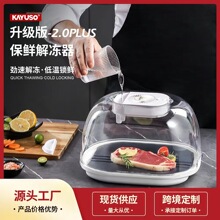 解冻器神器保鲜快速家用食物解冻机商用食品肉化冻盘牛排恒温