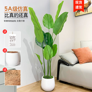 insLGֲ˽ֲ٘Bb߷