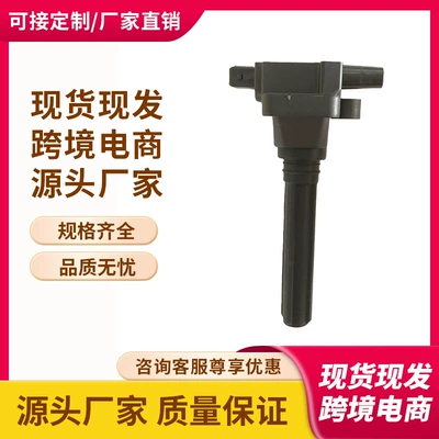 In Stock: 483Q18100, 483Q-18-100, 483Q-18100 Ignition Coil Suitable for Haima (Alovlanma bobini (Babinalar))