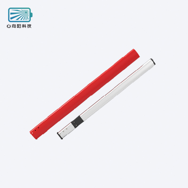 跨境专供 蜻蜓2C系列锂电池24V 36V 48V改装自行车锂电池