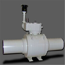 �����DELLA FOGLIA����y����