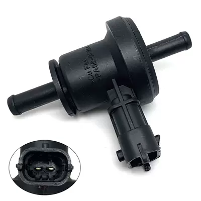 Canister solenoid valve Other starting systems