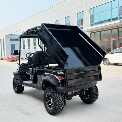 area sightseeing vehicle, tourist – Elektrikli qolf avtomobilləri