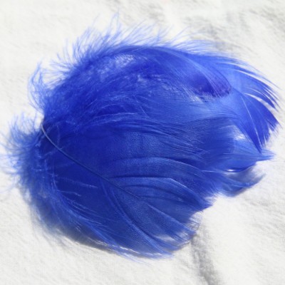 사파이어 블루 (100 루트 배치)