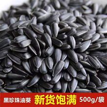 油葵黑珍珠小瓜子油葵花籽内蒙古新货原味炒货生瓜子奶油薄盐零食