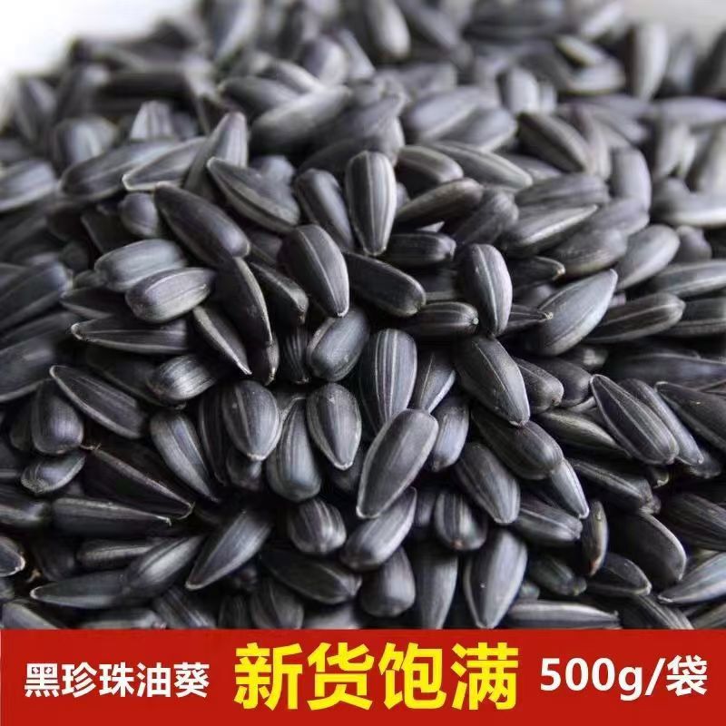 油葵黑珍珠小瓜子油葵花籽内蒙古新货原味炒货生瓜子奶油薄盐零食