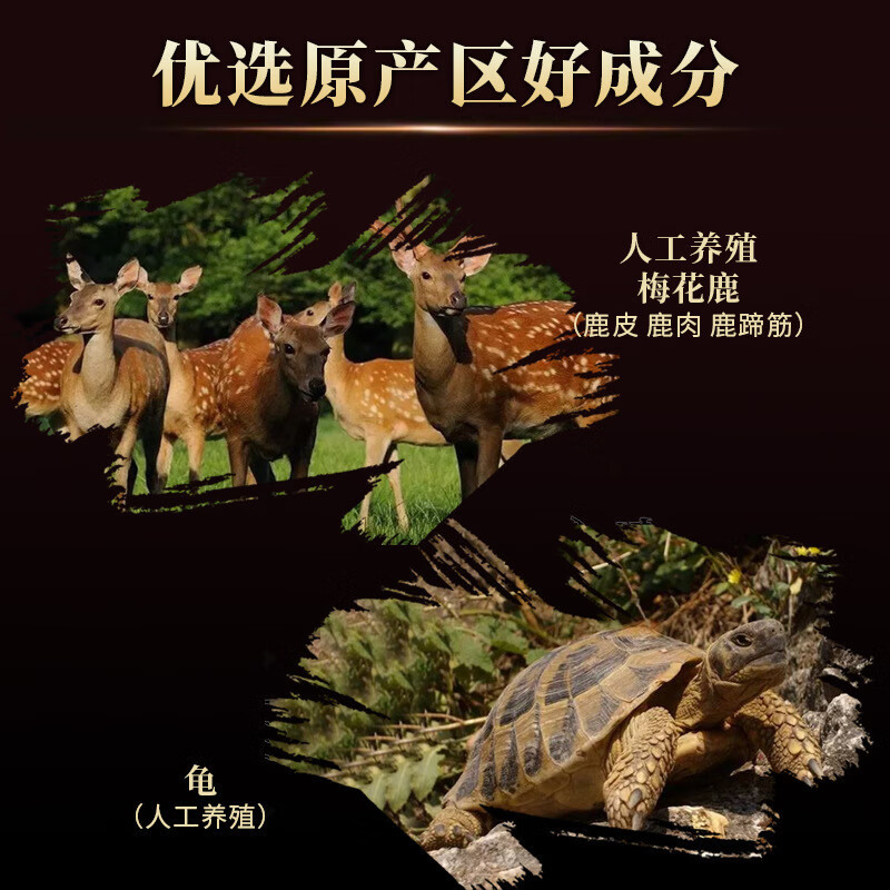 南京同仁堂メーカー直売原料亀鹿二仙ゴム (丸)原方配合薬食同源サポート一|undefined