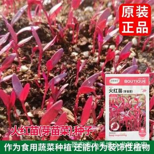 ��t��(ѿ���)�N�Ӽt�{�˷N��ѿ�����ʳ�ø߮a�ļ����͔[�P�߲�