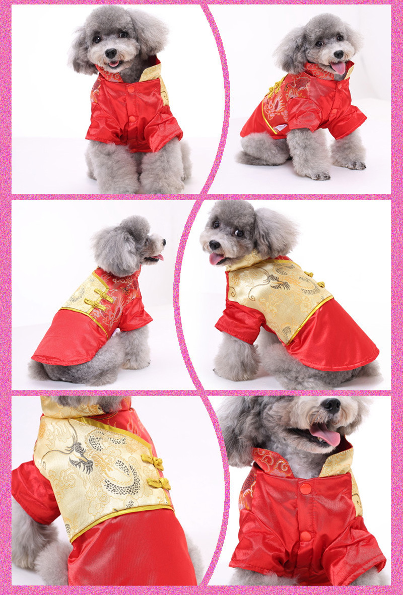 Pet Clothes Festive Dog And Cat New Year Outfits Tang Suit For Spring Autumn Warm Thick Cotton Coat For Pets_voghion.com