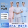 分体医院卫校夏季医生服
