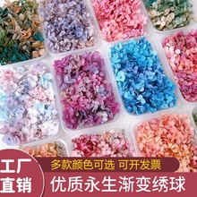 ���������Ƚ�����ϰ�DIY�ɻ��NĘ���y�F�����F��ɳ����Ь�u׃