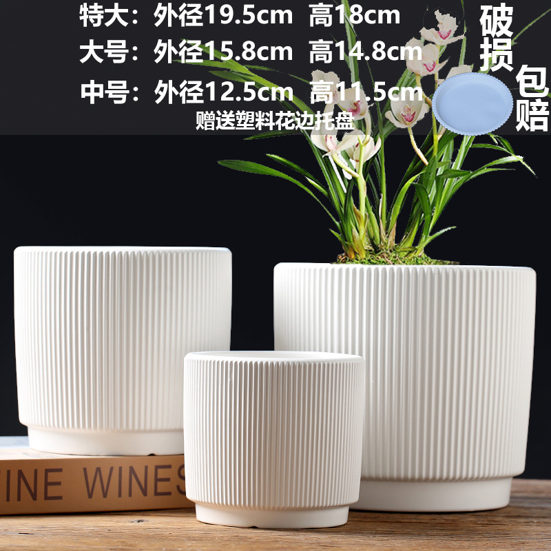 直販の陶器製植木鉢、胡蝶蘭専用鉢、家庭用リビングルーム、一件代発送|undefined