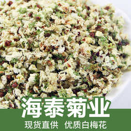 厂家批发新货白梅花绿萼梅绿梅花散装500g干花大货供应量大从优