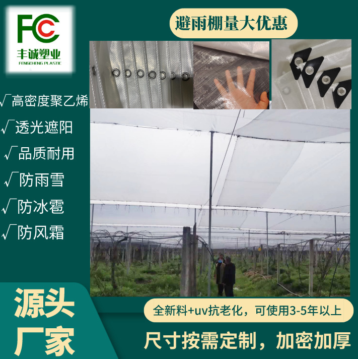 猕猴桃种植防雨防风防冰雹膜透光防水避雨棚20丝pe篷布果园防雨布