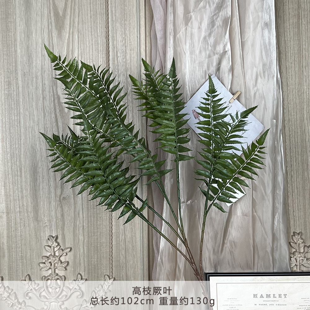 YM-높은 가지와 잎-짙은 녹색