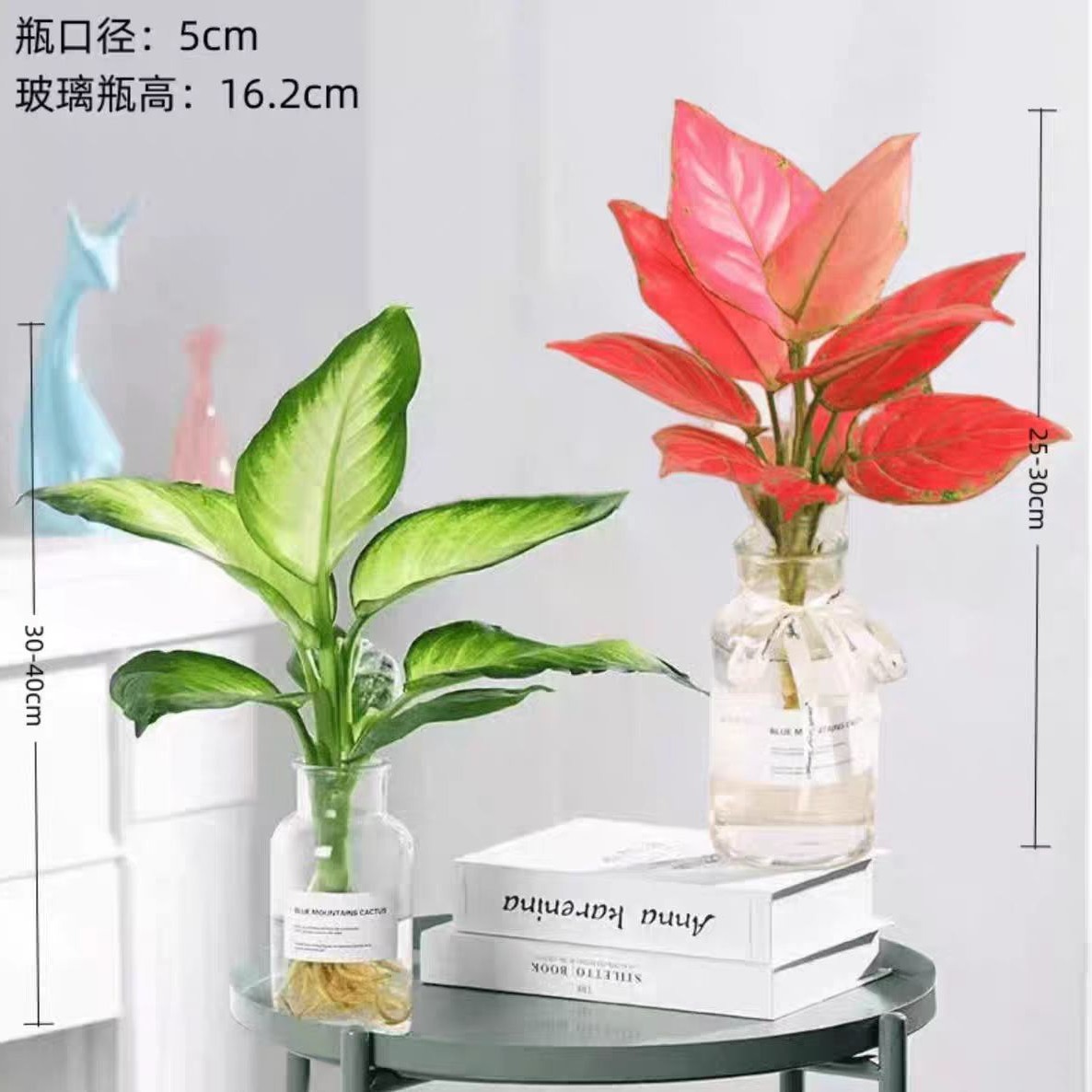 Marianne Pink and White Desktop Flower Office Green Plant Fortune Gold and Silver Queen Dieffenbachia Hydroponic Green Plant Potted Plant