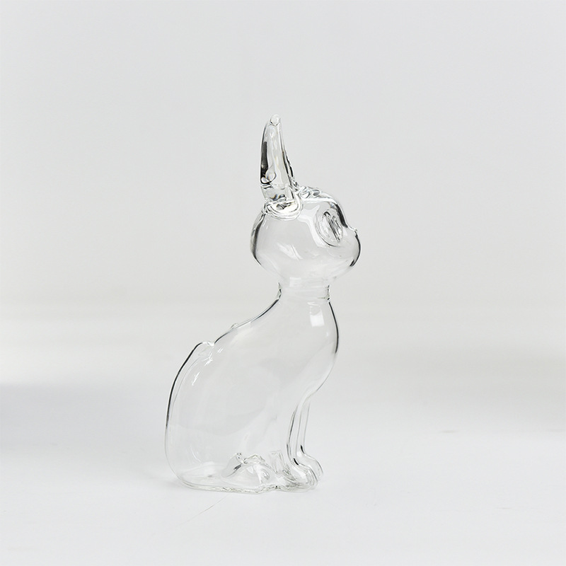 Anderson botella de almacenamiento de piel de gato transparente de piel de gato, lata de almacenamiento de piel de cachorro, caja de almacenamiento de recuerdos