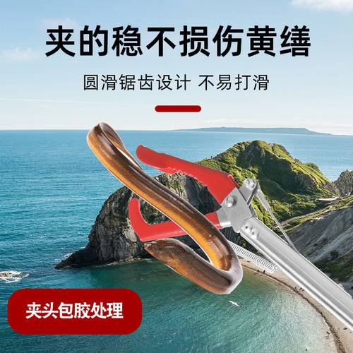 Snake clip, stainless steel eel clip, double-sided serrated clip, non-slip loach pliers, extended fish controller, sea clip