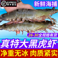 ʮ���ڻ��r�r������r���r���r�����r�߾Ź��r���r���r�ك���