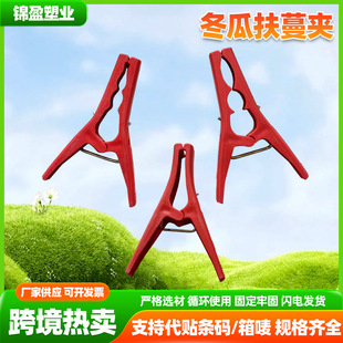 �羳�������Ϸ����A�����S�Ϸ��ٽ�֦���Ϲ̶��A�����߲˹Ϲ��̶�