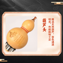 �����J�z��B�{C�{С�W���������W�������T����A����