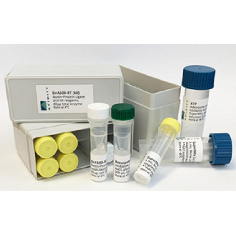 AvidityBirA500-RTBirABiotin-ProteinLigaseRT– Lyophilize